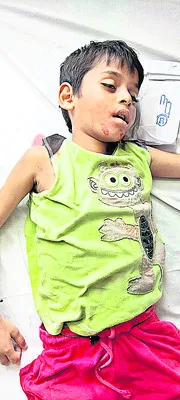 వ్యాన్‌ ఢీకొని బాలుడి మృతి 