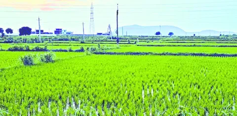 రైతుల జీవితాలతో ఆటలు.. 