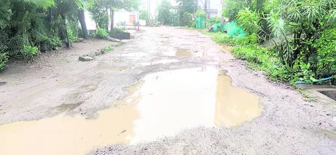 ● రోజ