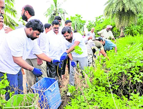 పరిసరాల శుభ్రతలో భాగస్వామ్యం 