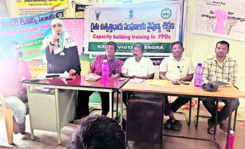సస్యరక్షణ చర్యలతో తెగుళ్ల నివారణ 