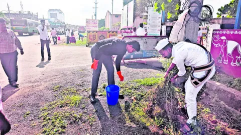 పరిశు