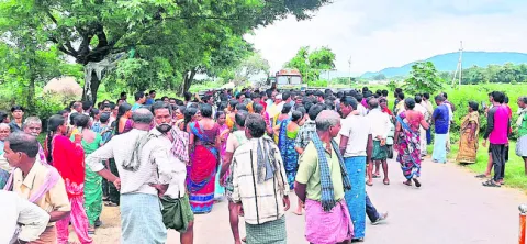 బాలిం