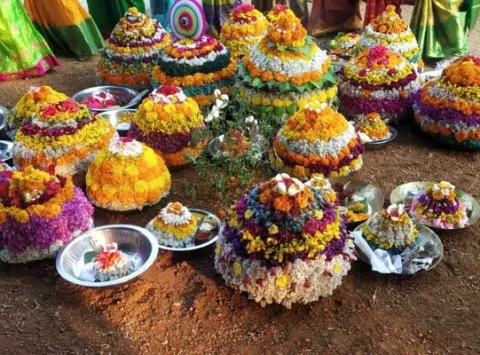 నవ నై