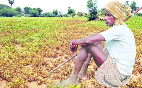 రైతుకు కూటమి శఠగోపం 