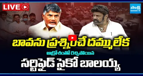 Certified Psycho Balakrishna Comments On YS Jagan And Chiranjeevi 1