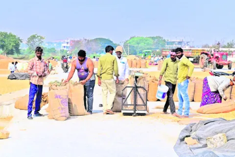 ధాన్యం కొనుగోళ్లకు సన్నద్ధం 