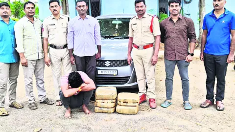 30.5 కిలోల గంజాయి స్వాధీనం 