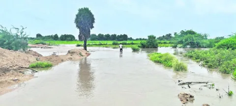 ఎడతెర