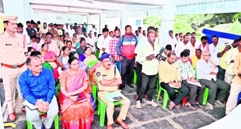 బన్ని
