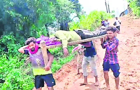 రోగిని తరలించేందుకు అష్టకష్టాలు