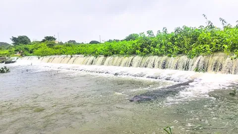 శనివా