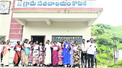 డి–పట