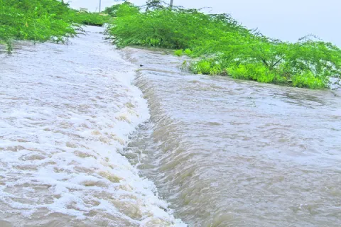 జోరు 