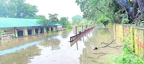 ఓసీపీ