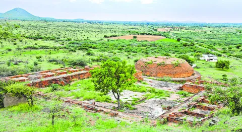 బౌద్ధ