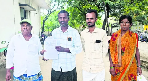 మొక్కజొన్న విత్తనాల మోసం 