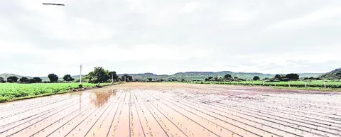 పొంగి
