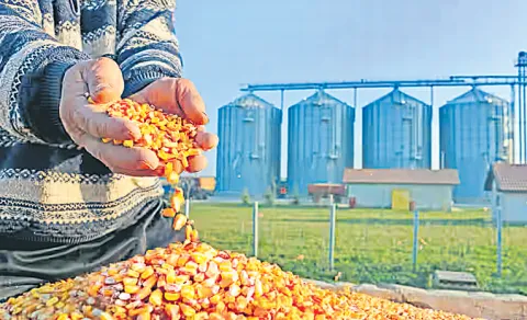 Johnson Choragudi wrote On Food Processing Sector