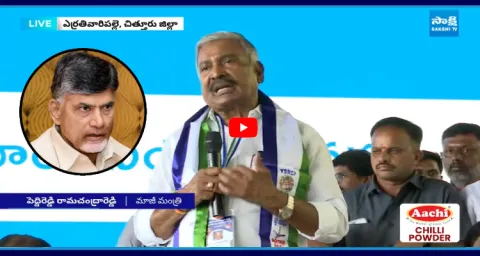 YSRCP Peddireddy Ramachandra Reddy Fires On Chandrababu Govt 2