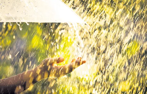Rains are falling in many places in coastal Andhra Pradesh