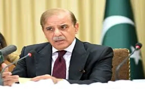 Shehbaz Sharif pledges support to people of Kashmir