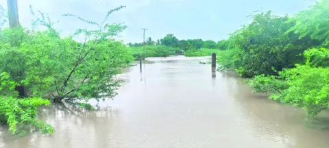 ఉధృతం