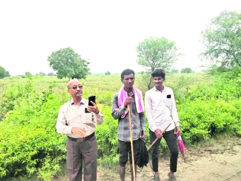 వేగంగ