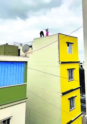 గుప్ప