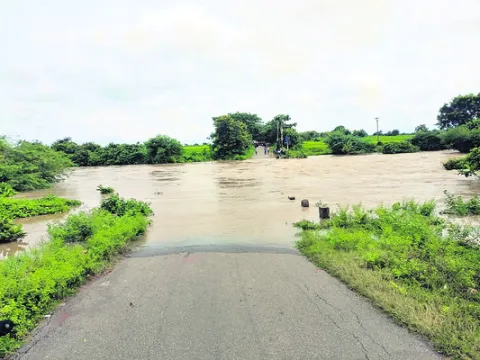 జిల్ల