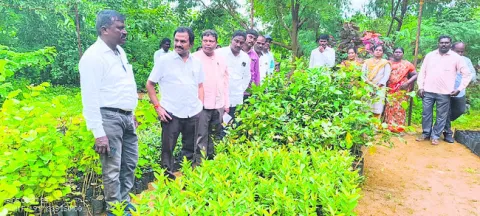 నేడు 