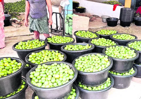 వన్నె తగ్గిన నిమ్మ