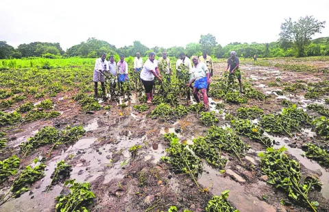 ఆయకట్