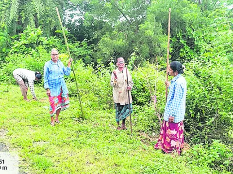 పండుగకు పస్తులేనా?