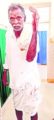 భూ వి