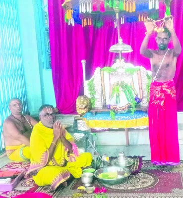 పేట మ