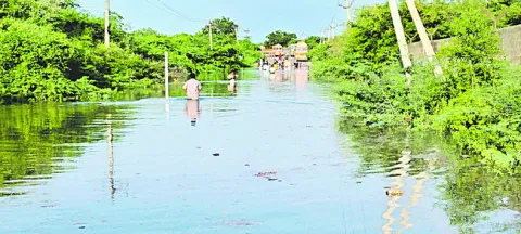 కృష్ణ