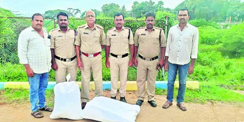 22 కేజీల గంజాయి పట్టివేత