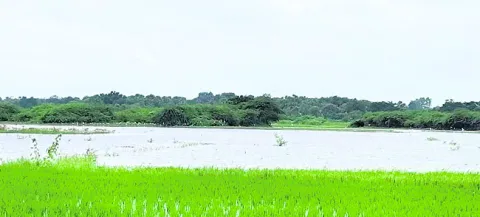 బ్యాక్‌వాటర్‌తో నష్టం 