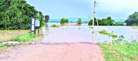 పెరుగ