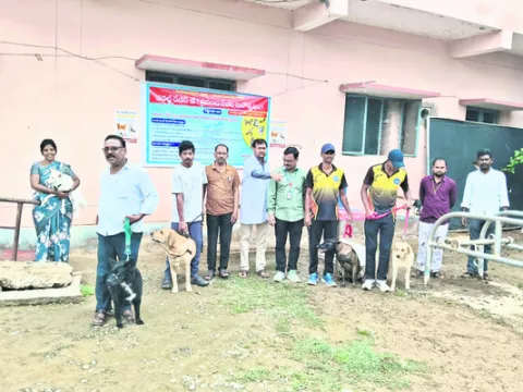 పెంపుడు జంతువులకు టీకాలు తప్పనిసరి  