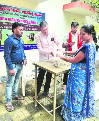 పెంపుడు జంతువులపై అప్రమత్తత అవసరం 