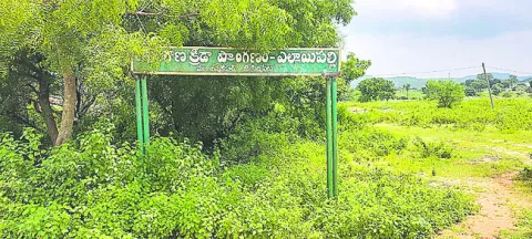 బోర్డులే దర్శనం.. మైదానాలు నిరుపయోగం 