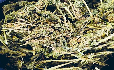  NCB Collaborates with Indian Railways to Strengthen Fight Against Drug Trafficking