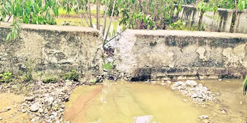 విషం చిమ్ముతున్న ఆహార పరిశ్రమ