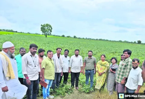 పంటలను పరిశీలించిన శాస్త్రవేత్తలు