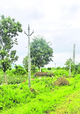 విద్య