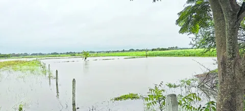 పంట నష్టం లెక్కపక్కాగా..