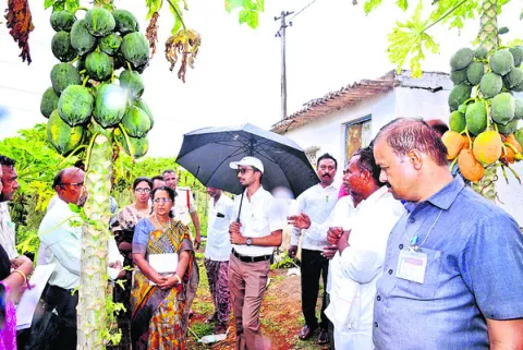 గిట్టుబాటు ధర లేక నష్టపోతున్నాం 