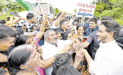 YS Jagan Serious Comments On Chandrababu: Andhra pradesh